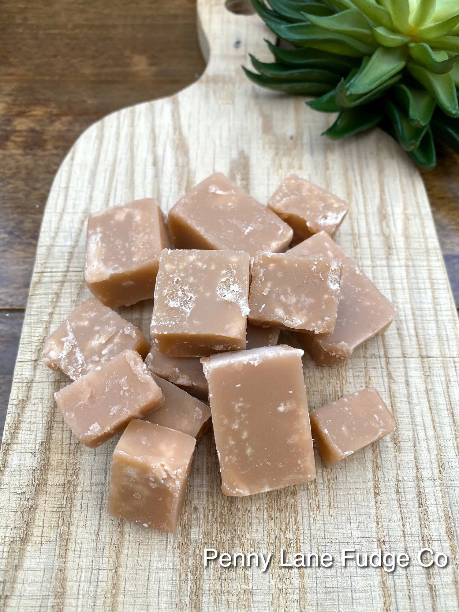 Vegan Fudge