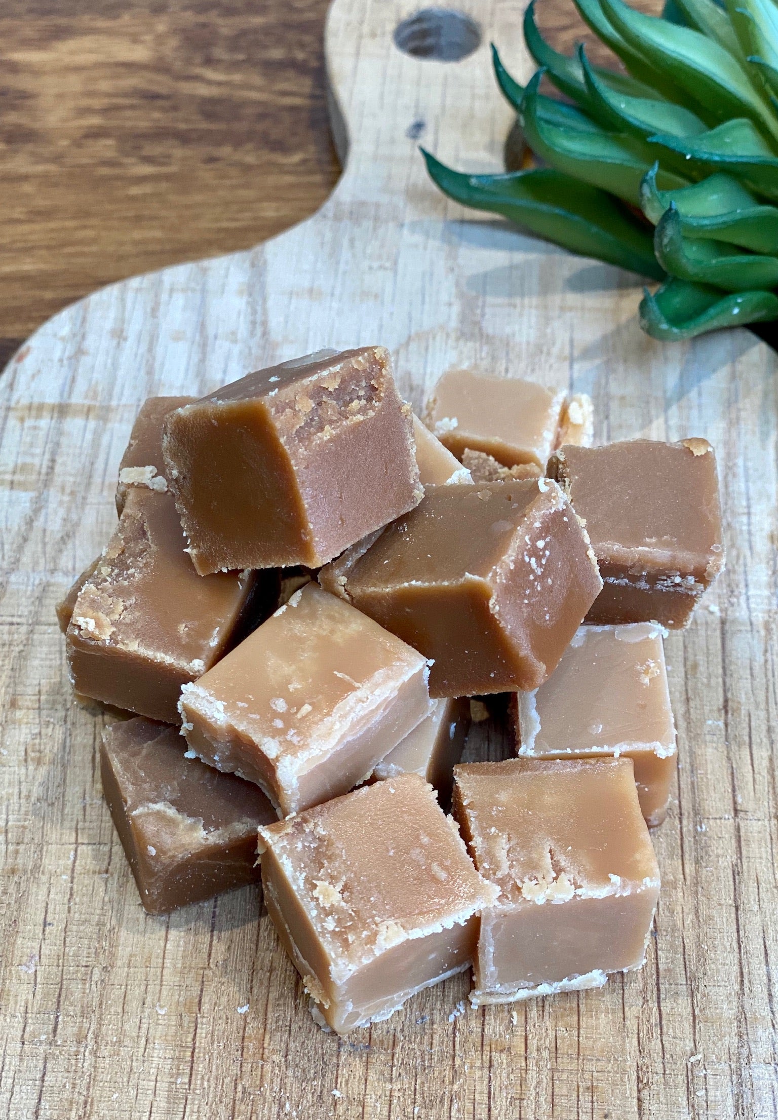 Cubes of fudge on a wooden cutting board with a plant in the background